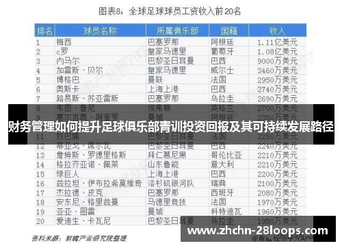 财务管理如何提升足球俱乐部青训投资回报及其可持续发展路径 财务管理如何提升足球俱乐部青训投资回报及其可持续发展路径