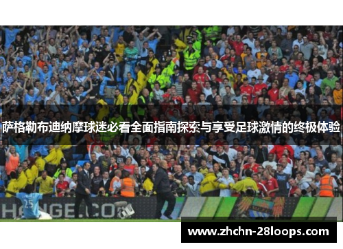 萨格勒布迪纳摩球迷必看全面指南探索与享受足球激情的终极体验