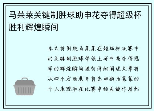 马莱莱关键制胜球助申花夺得超级杯胜利辉煌瞬间 马莱莱关键制胜球助申花夺得超级杯胜利辉煌瞬间